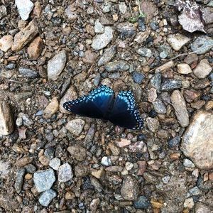 Meet your Posher, Jeanne